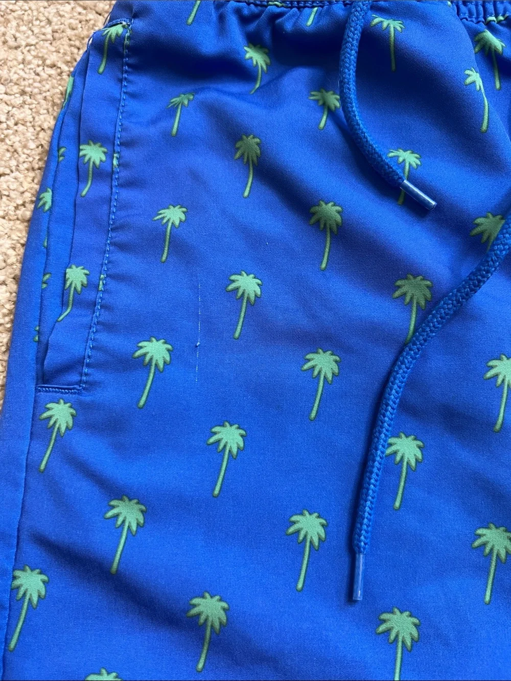 Sperry Palm swim’s trunks